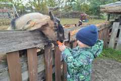 WhatsApp-Image-2025-10-08-at-18.13.46